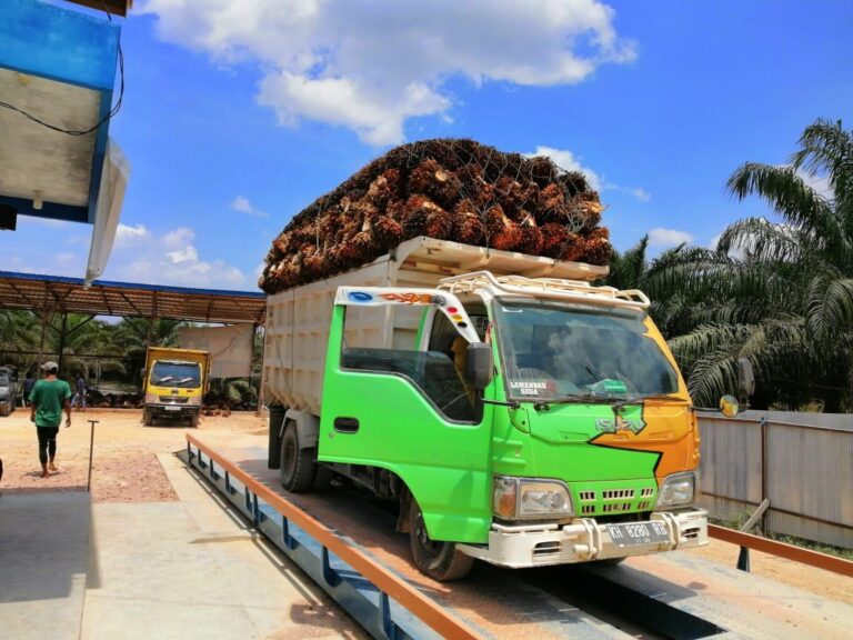 jual timbangan sawit 30 ton, jual jembatan timbang kalimantan, timbangan truk portable, timbangan truk 30 ton, sewa jembatan timbang, jembatan timbangan digital, timbangan truk, jembatan timbang digital, jembatan timbang 20 - 60 ton, timbangan sawit, jembatan timbang hercules ts low deck semi permanent, truck scale, timbangan jembatan, timbangan truk, timbangan protable, timbangan mobil, timbangan truk 50 ton, service jembatan timbang, harga timbangan sawit 30 ton, aplikasi timbangan sawit, timbangan truk 50 ton, harga jembatan timbang 60 ton, harga timbangan mobil 20 ton, jembatan timbang indonesia, ram sawit terdekat, timbangan batubara, Timbangan, jual timbangan, jual timbangan digital, timbangan digital, timbangan duduk, harga timbangan digital, timbangan gantungharga timbangan, harga timbangan duduk, timbangan beras, toko timbangan digital terdekat, timbangan dacin, timbangan gantung digital, timbangan elektrik, jual timbangan digital terdekat, timbangan duduk digital, timbangan manual, harga timbangan digital 100 kg, harga timbangan digital 5 kg, harga timbangan gantung, timbangan analog, timbangan digital online, timbangan duduk manual, timbangan meja, timbangan dapur, timbangan duduk 100 kg, jembatan timbang, timbangan jembatan