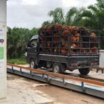 jual timbangan sawit 30 ton, jual jembatan timbang kalimantan, timbangan truk portable, timbangan truk 30 ton, sewa jembatan timbang, jembatan timbangan digital, timbangan truk, jembatan timbang digital, jembatan timbang 20 - 60 ton, timbangan sawit, jembatan timbang hercules ts low deck semi permanent, truck scale, timbangan jembatan, timbangan truk, timbangan protable, timbangan mobil, timbangan truk 50 ton, service jembatan timbang, harga timbangan sawit 30 ton, aplikasi timbangan sawit, timbangan truk 50 ton, harga jembatan timbang 60 ton, harga timbangan mobil 20 ton, jembatan timbang indonesia, ram sawit terdekat, timbangan batubara, Timbangan, jual timbangan, jual timbangan digital, timbangan digital, timbangan duduk, harga timbangan digital, timbangan gantungharga timbangan, harga timbangan duduk, timbangan beras, toko timbangan digital terdekat, timbangan dacin, timbangan gantung digital, timbangan elektrik, jual timbangan digital terdekat, timbangan duduk digital, timbangan manual, harga timbangan digital 100 kg, harga timbangan digital 5 kg, harga timbangan gantung, timbangan analog, timbangan digital online, timbangan duduk manual, timbangan meja, timbangan dapur, timbangan duduk 100 kg, jembatan timbang, timbangan jembatan